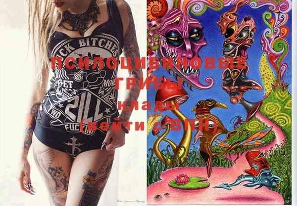 марки lsd Костерёво
