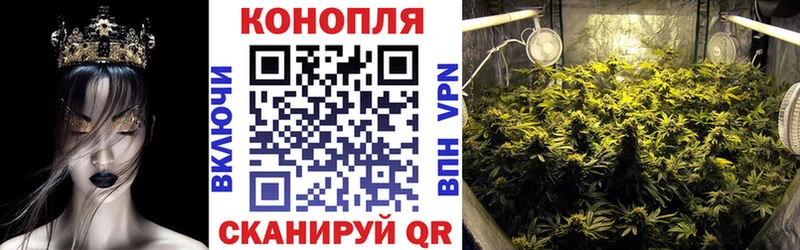 Каннабис MAZAR  Купить закладки  Пушкино 